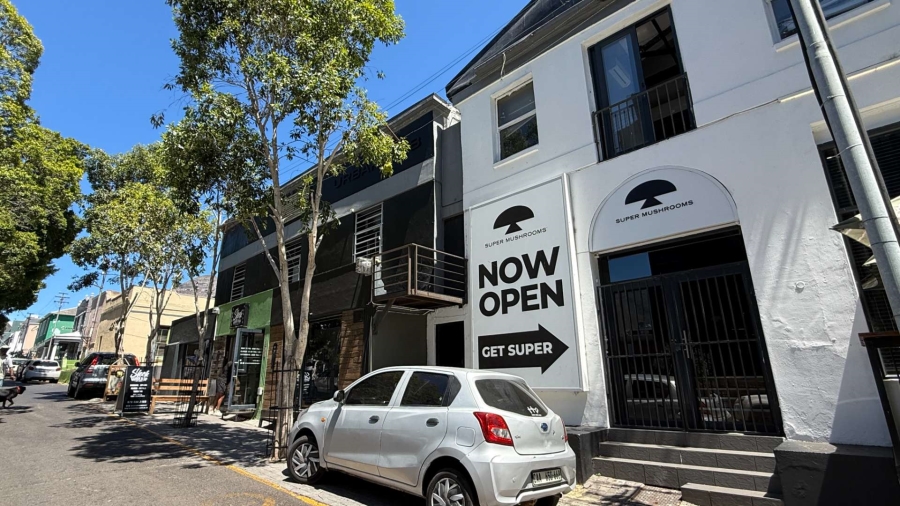 To Let commercial Property for Rent in Cape Town City Centre Western Cape